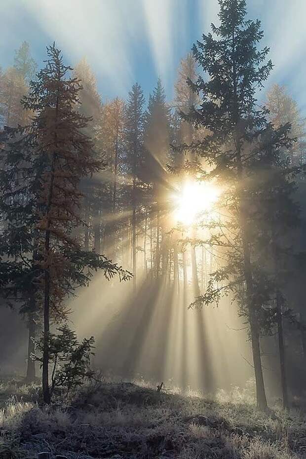 Приметы встречи Нового года