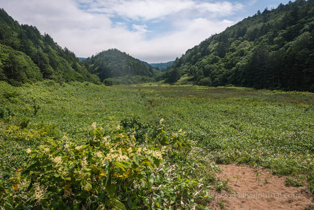 Курилы. Кунашир. Мыс Столбчатый