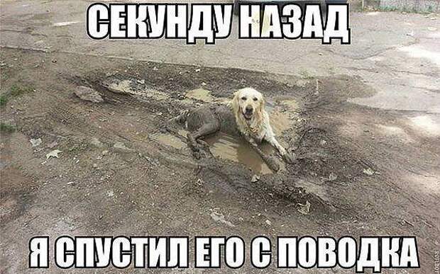 Немножко приколов Немножко приколов прикол, приколы, фото