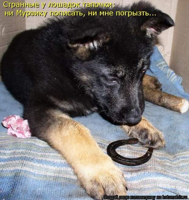 Мысли вслух :)
