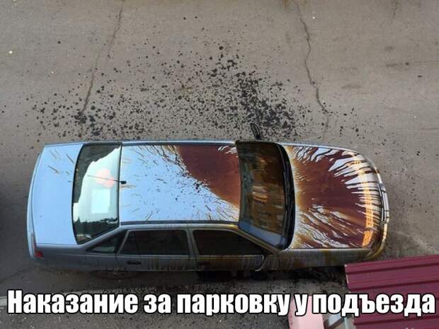 Подборка фотоприколов