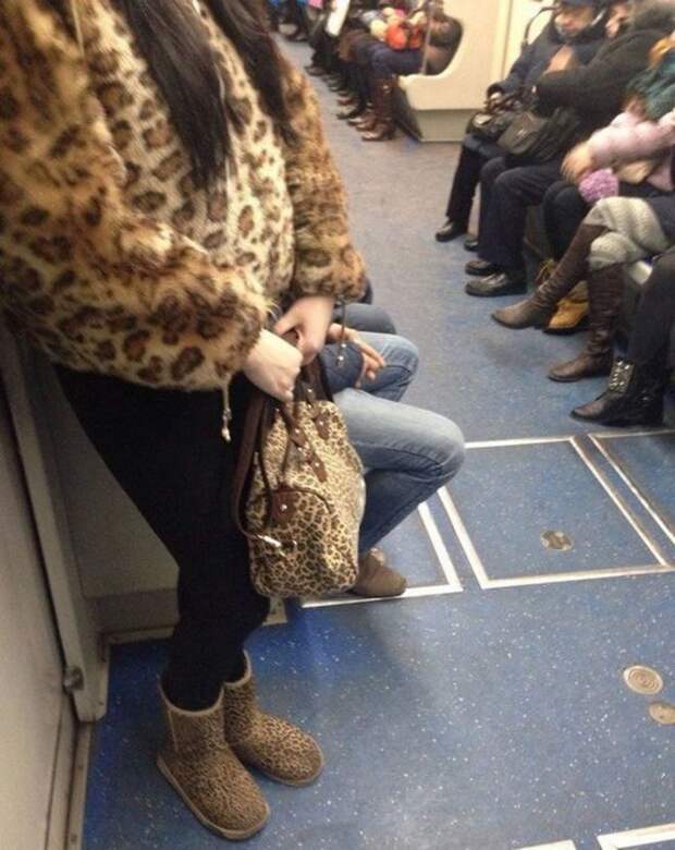 А где лосины?