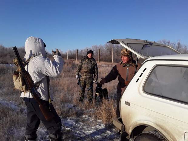 Через парилку