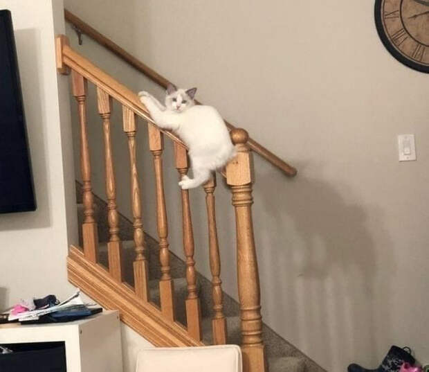 OQE1uCmIJaM (604x524, 136Kb)