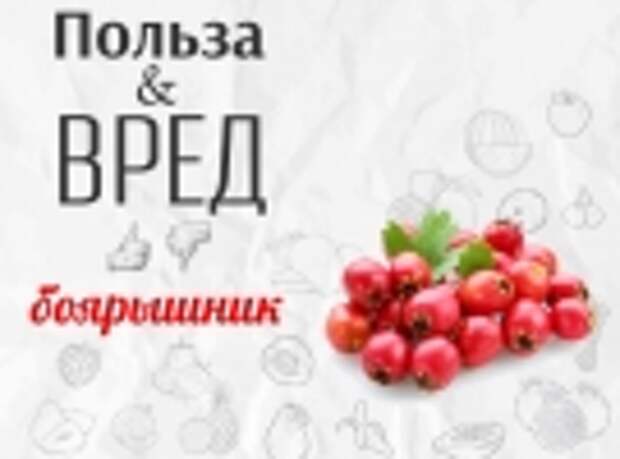 Сколько можно есть боярышника свежего. Боярышник ягоды польза. Чем полезен боярышник ягоды для организма. Боярышник польза и вред. Польза и вред Боярки ягоды.