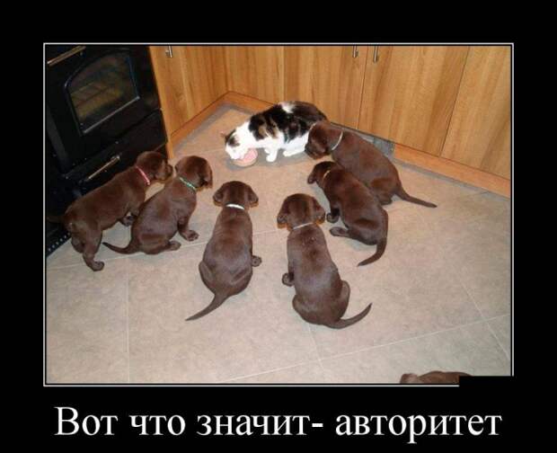 www.vsyako.net