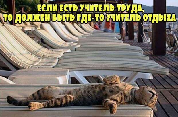 Прикольные и смешные картинки