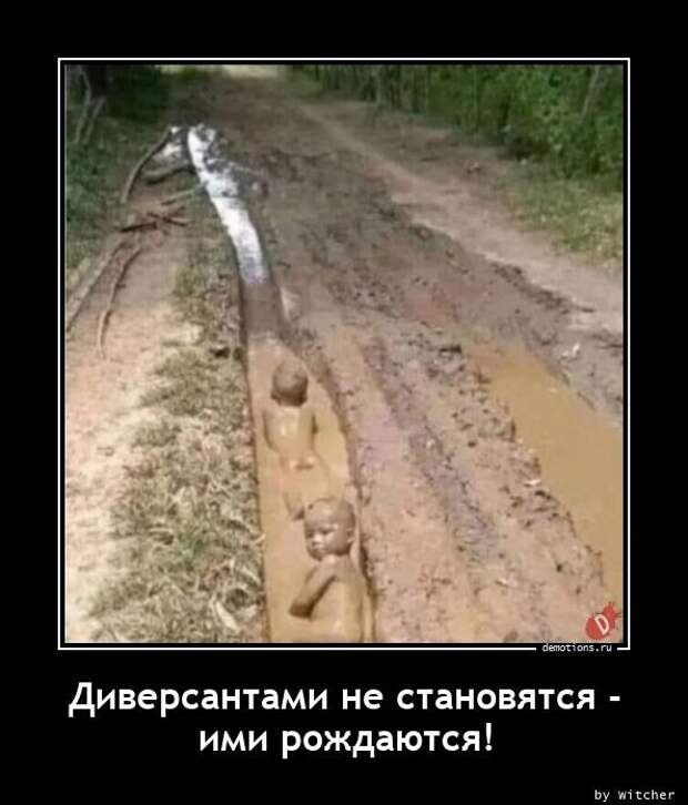 Демотиваторов пост (13 фото)