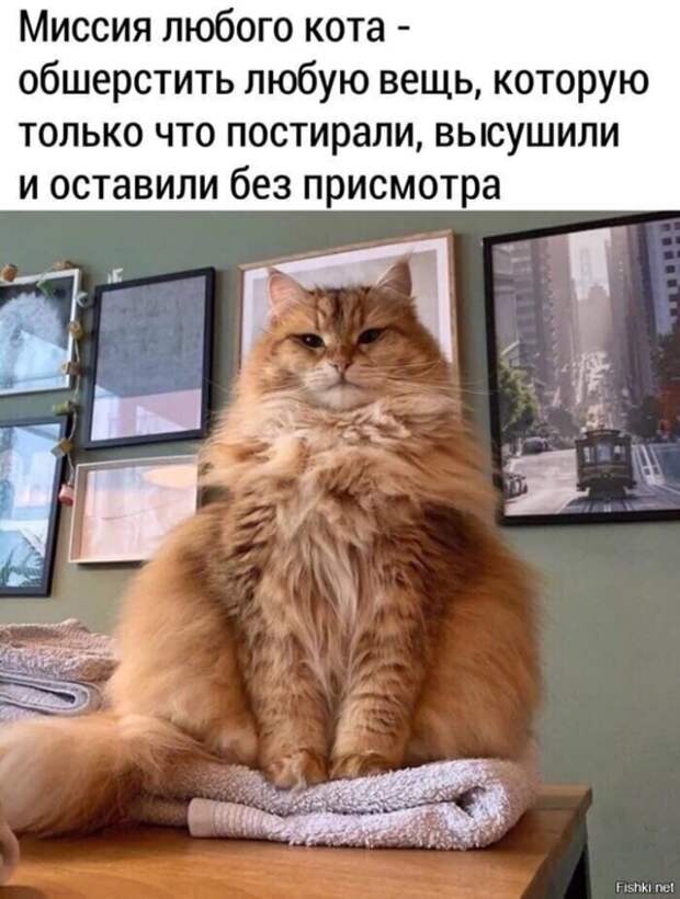 ea0101f8dded9a9a92bd4dae4b0eb23d (528x700, 227Kb)