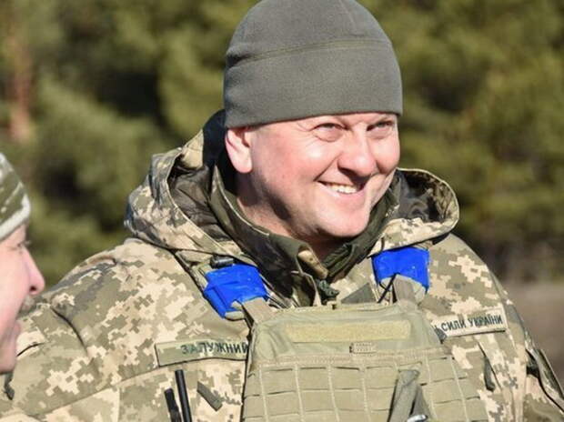 Главком ВСУ Залужный отчитался перед с генералом Милли о ситуации на фронте