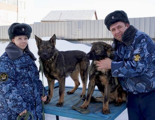 Хвостатых помощников от питомника УФСИН получили тюменские кинологи