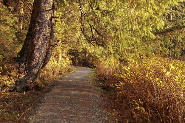 Autumn Path by Mitch  Seaver on 500px.com