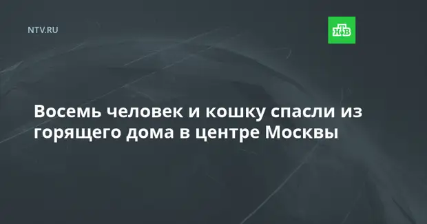Восемь человек и кошку спасли из горящего дома в центре Москвы