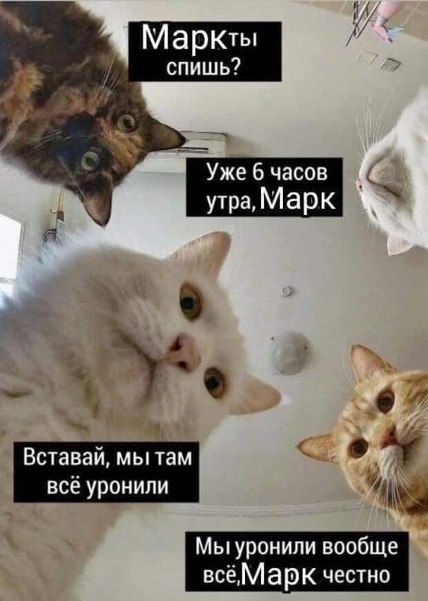 Глобальный сбой Facebook, Instagram и WhatsApp: шутки и мемы