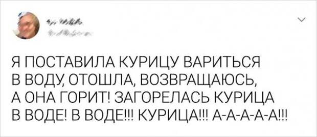 твит про курицу