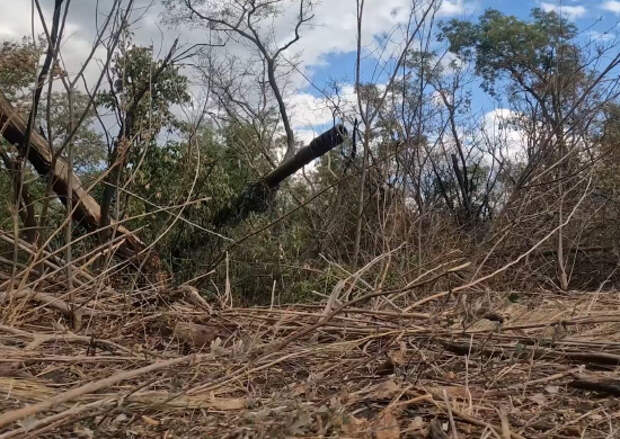 Расчеты буксируемых пушек «Гиацинт-Б» группировки войск «Запад» уничтожили замаскированный пункт управления БпЛА и живую силу ВСУ