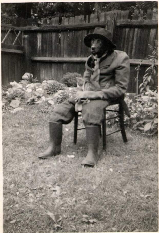 Собака, наряженная в мужской костюм, с котом на коленях (1950) история, ретро, фото, это интересно