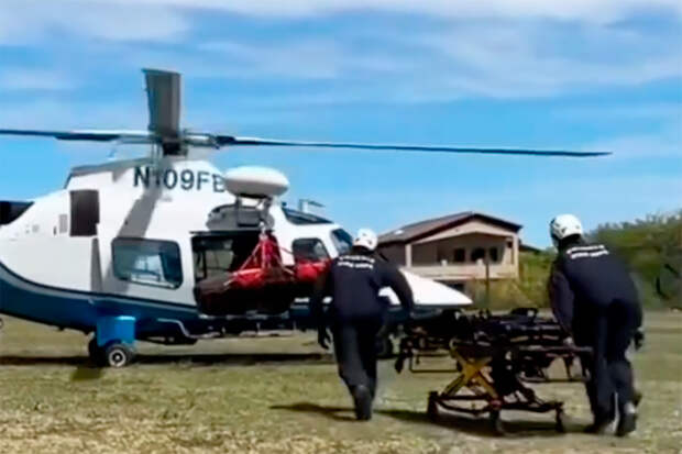 Туриста сто раз ужалили «пчелы-убийцы» на горе в США