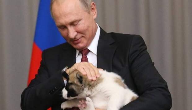 Президент Туркмении подарил Путину щенка алабая по кличке Верный