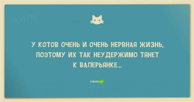 25 смешных анекдотов про кошек и котов 25 смешных анекдотов про кошек и котов