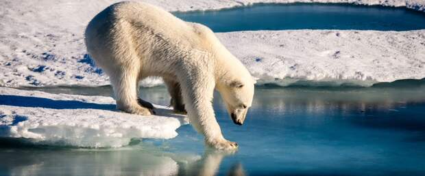Реки Сибири ускоряют таяние льдов Арктики с тревожной скоростью