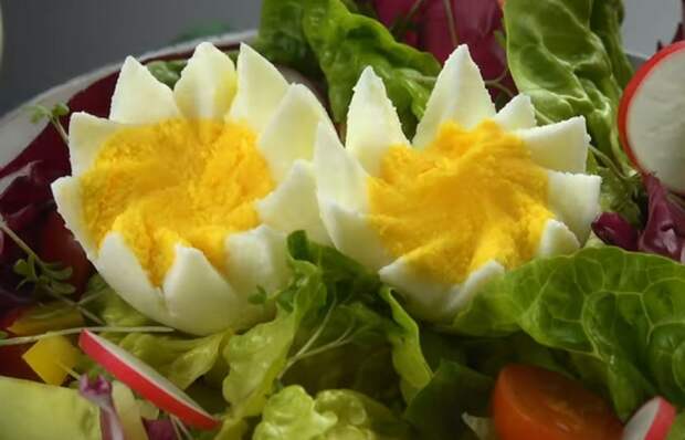 8 способов превратить куриное яйцо в изысканное блюдо