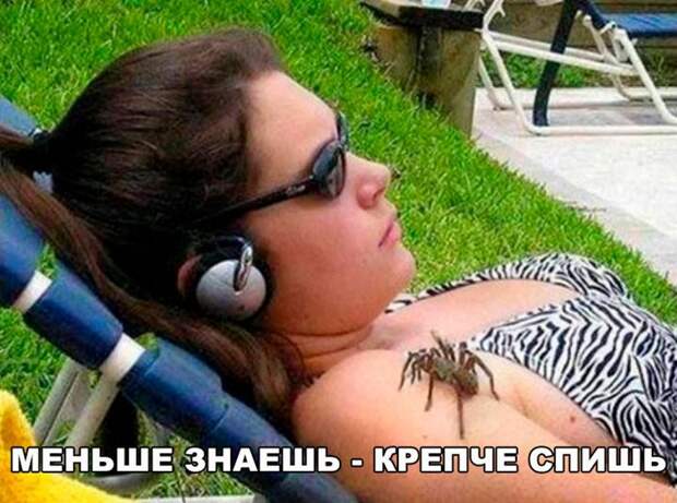 Прикольные и веселые картинки с надписями для настроения (11 фото) Прикольные и веселые картинки с надписями для настроения (11 фото)