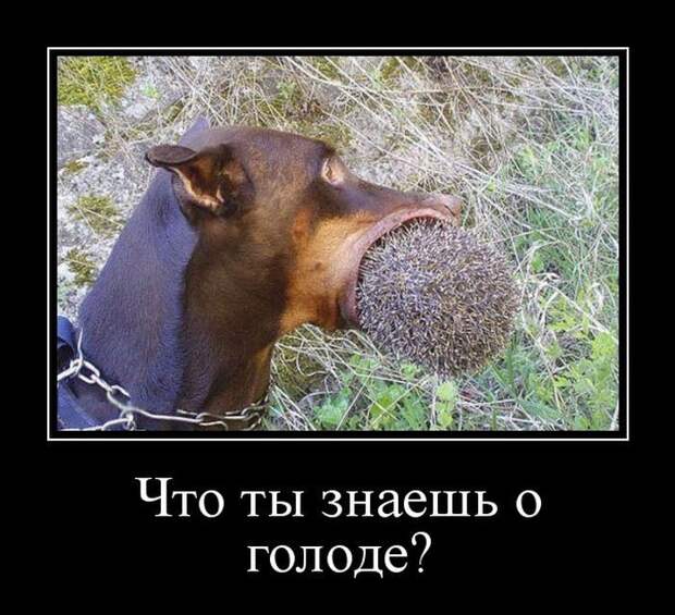 1609905550_1.jpg