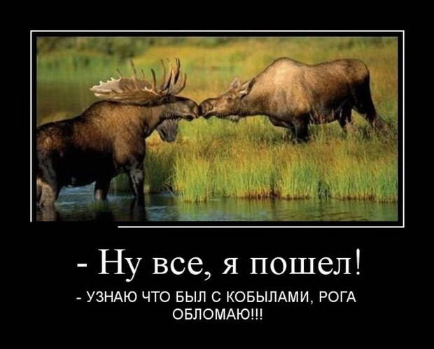 Подборка классных демотиваторов № 156