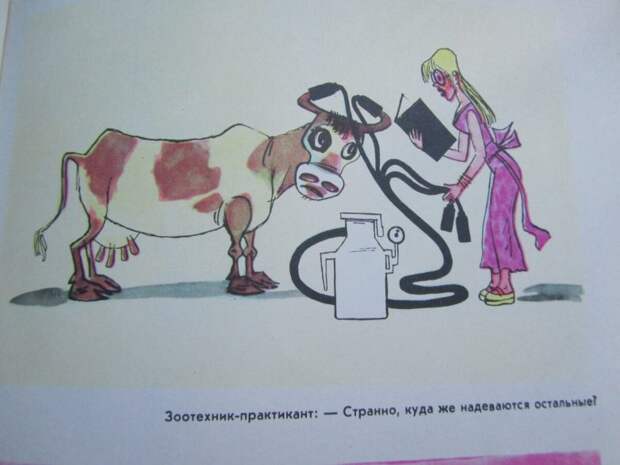 Над чем узбеки смеялись в СССР