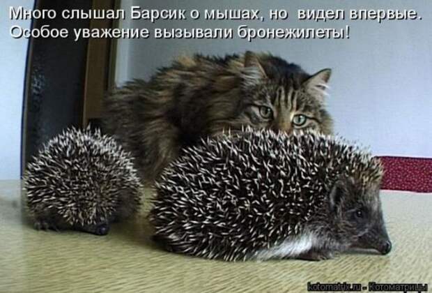Мысли вслух :)