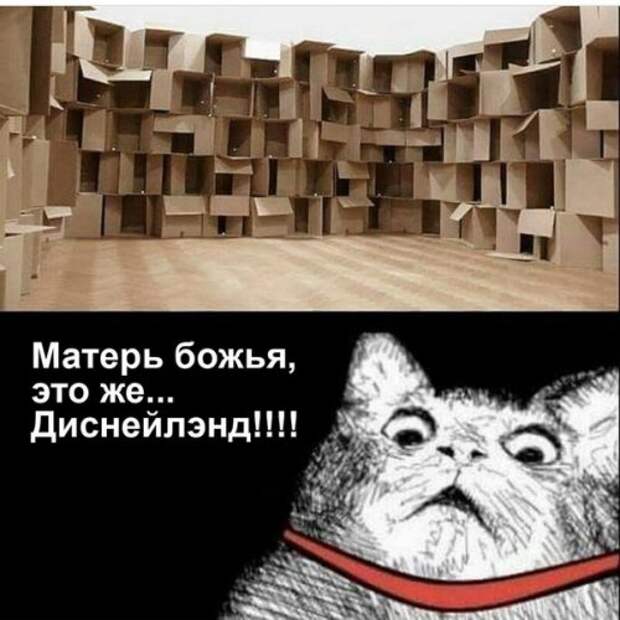 Новые прикольные фотомемы (28 шт)