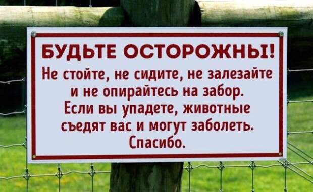 Остроумные объявления, вывески и таблички (21 фото)