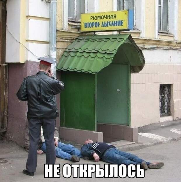 Порция настроения добрый день, картинки, мемы, смех, смешные