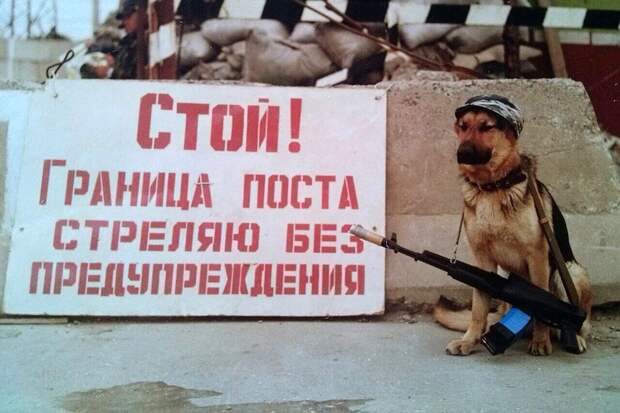 Мильва и ее хозяин во время службы в Дагестане. Фото: из личного архива