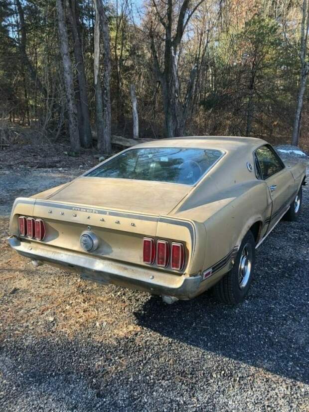 Ford Mustang 1969 года, который простоял 40 лет без движения