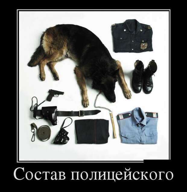 Демотиваторы (30 фото) Демотиваторы (30 фото)