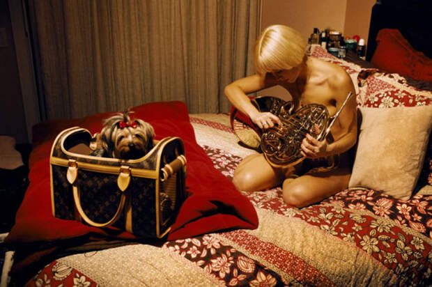 Публичный дом Moonlite BunnyRanch