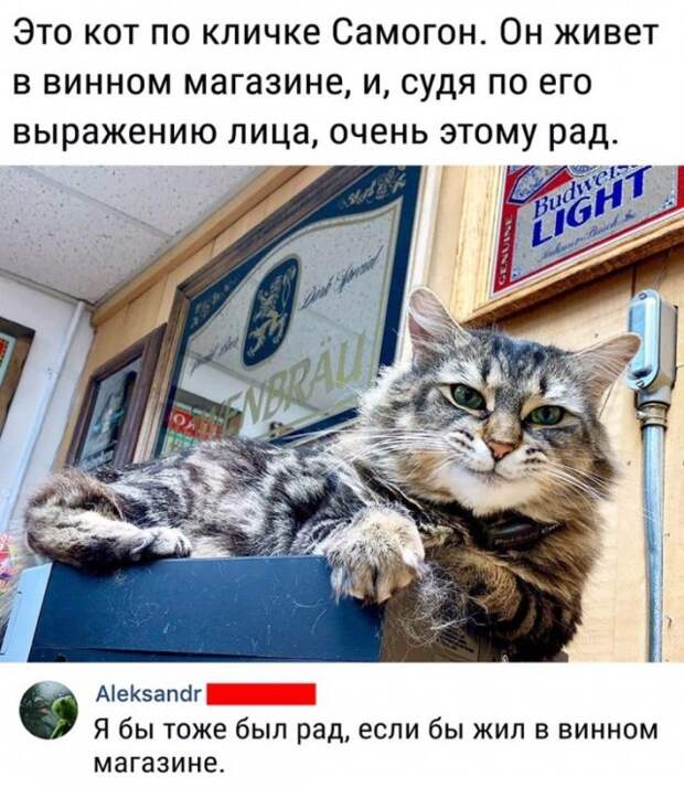 Подборка картинок. Вечерний выпуск (32 фото)
