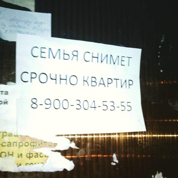 Объявления для удивления интересное, объявления, смешное, странное