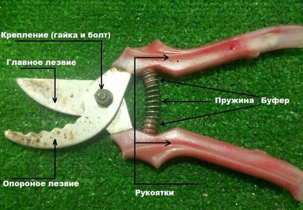 Источник изображения: Яндекс.Картинки