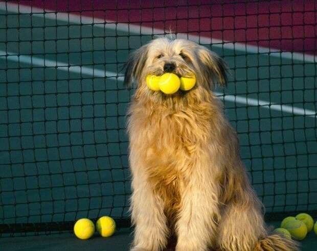 Давайте улыбаться вместе! :) (21повод)