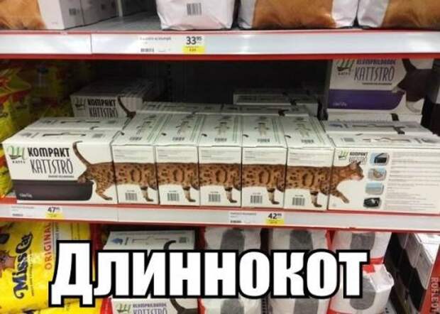 Весёлые анекдоты в середине недели (11 шт)
