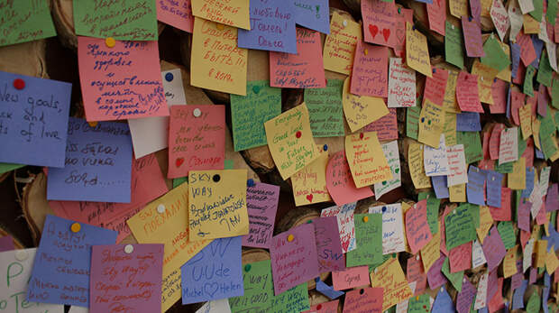 ЭкоФест 2017: фото с места событий