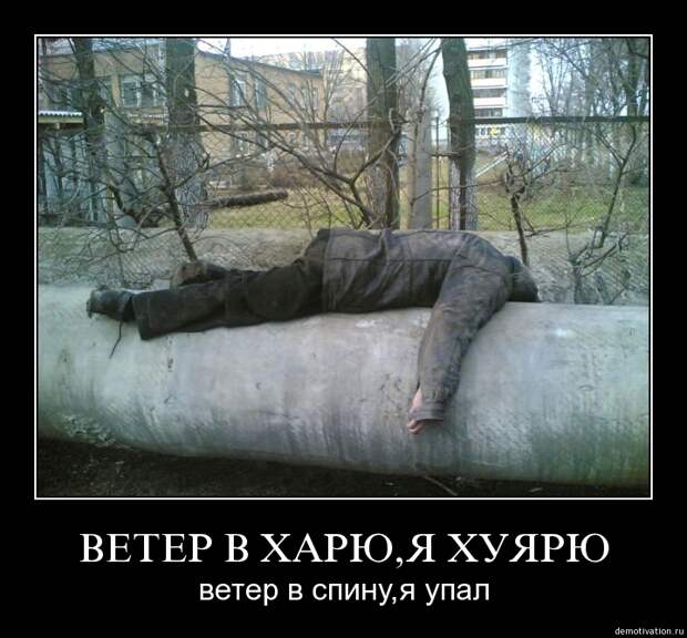 http://s2.uploads.ru/s5gWK.jpg
