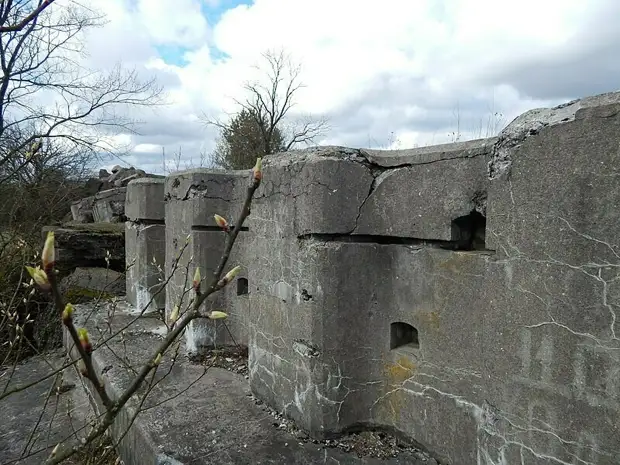 Фото: commons.wikimedia.org