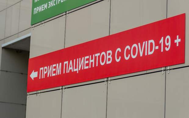 В Рязанской области за сутки подтвердились ещё 33 случая коронавируса