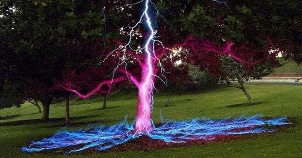 9. Невероятно красивый момент того, как молния ударяет в дерево — фотография сделана на длинной выдержке Прикольные фото, животные, чудеса