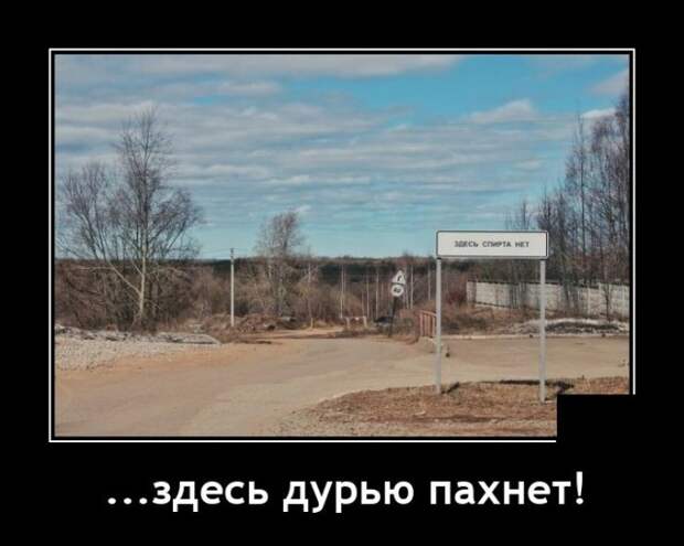Демотиваторы 19 мая 2021