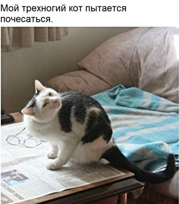 Юмор, юмор, юмор... Юмор, юмор, юмор...